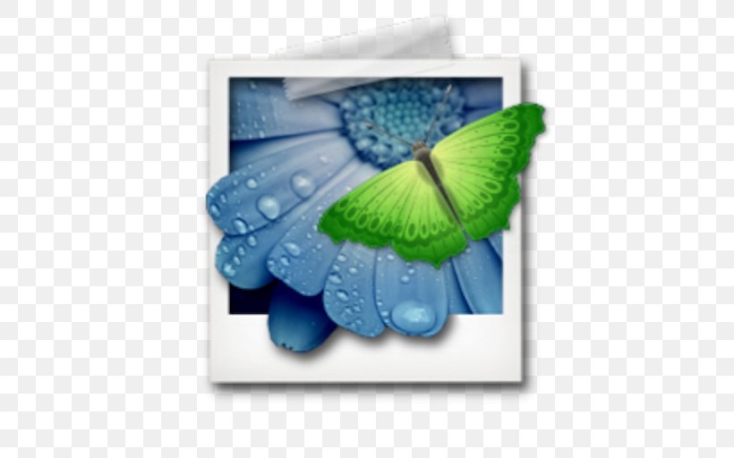 Color Image Viewer MacOS File Viewer, PNG, 512x512px, Color, Adobe Systems, Butterfly, File Viewer, Flower Download Free