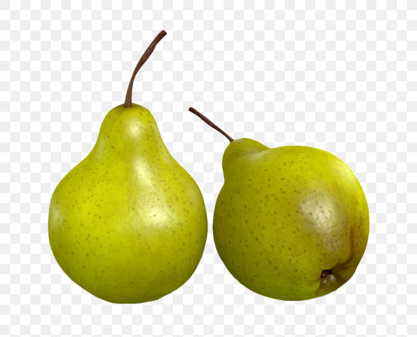 European Pear Pyrus Nivalis Snowflake Green, PNG, 1024x830px, European Pear, Accessory Fruit, Apple, Asian Pear, Auglis Download Free