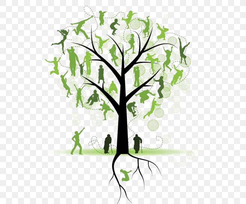 Family Tree Genealogy Clip Art, PNG, 650x680px, Family Tree, Branch, Family, Family Reunion, Flora Download Free
