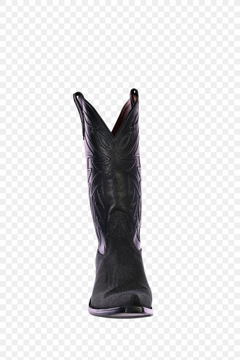 Riding Boot Equestrian Shoe, PNG, 1500x2250px, Riding Boot, Boot, Equestrian, Footwear, Purple Download Free