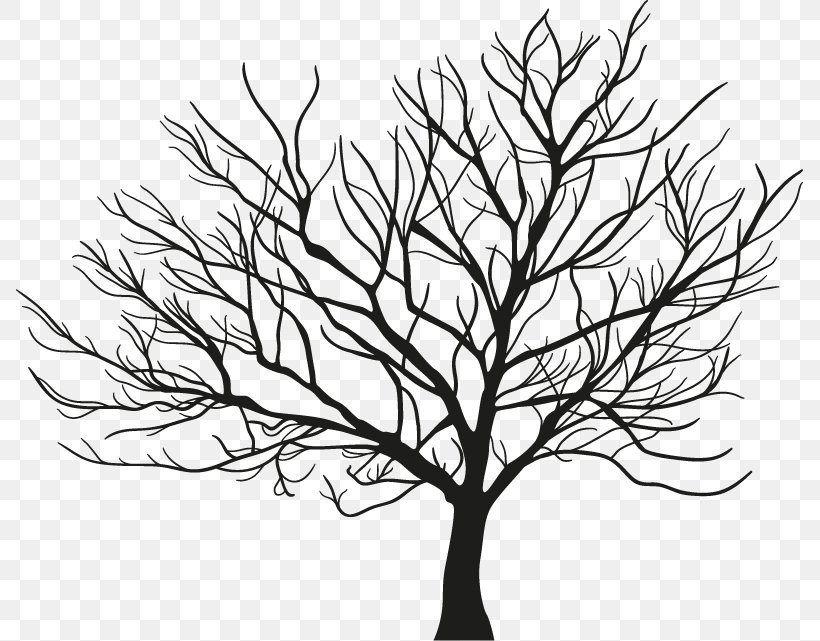Tree Branch Winter, PNG, 787x641px, Tree, Artwork, Black And White, Branch, Drawing Download Free