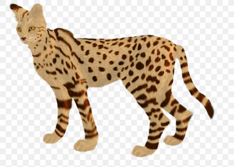 Whiskers Cheetah Leopard Ocelot Wildcat, PNG, 1008x720px, Whiskers, Animal, Animal Figure, Big Cat, Big Cats Download Free
