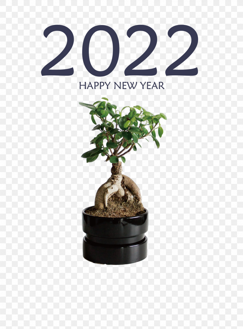 2022 Happy New Year 2022 New Year 2022, PNG, 2218x3000px, Bonsai, Azalea, Ficus Microcarpa, Ficus Retusa, Gardening Download Free
