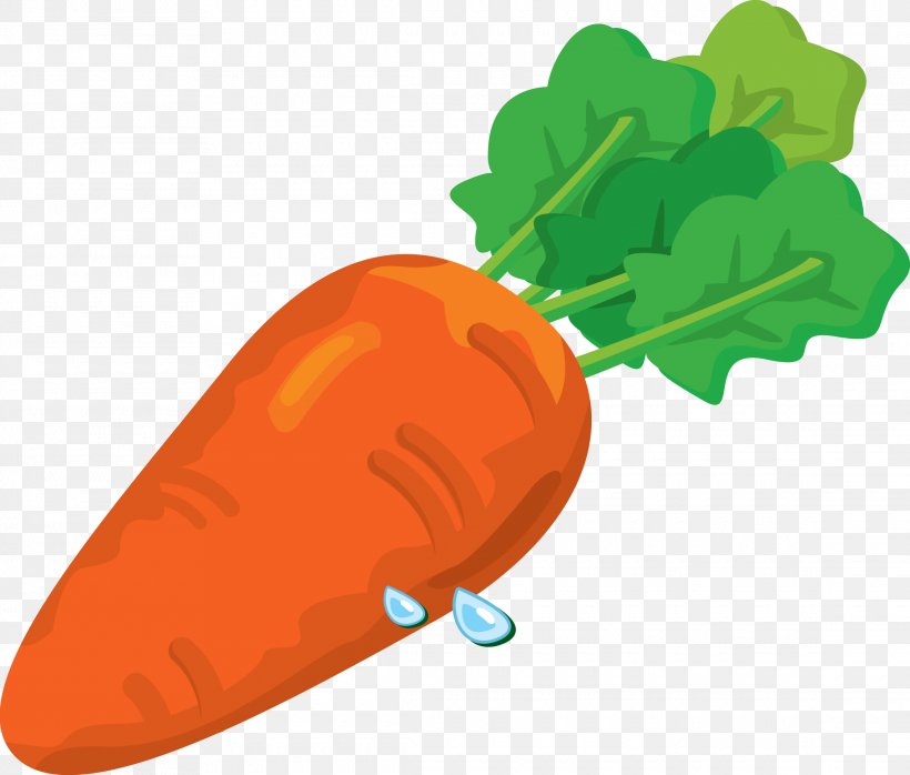 Baby Carrot Clip Art, PNG, 2280x1943px, Carrot, Clip Art, Daucus Carota, Food, Fruit Download Free