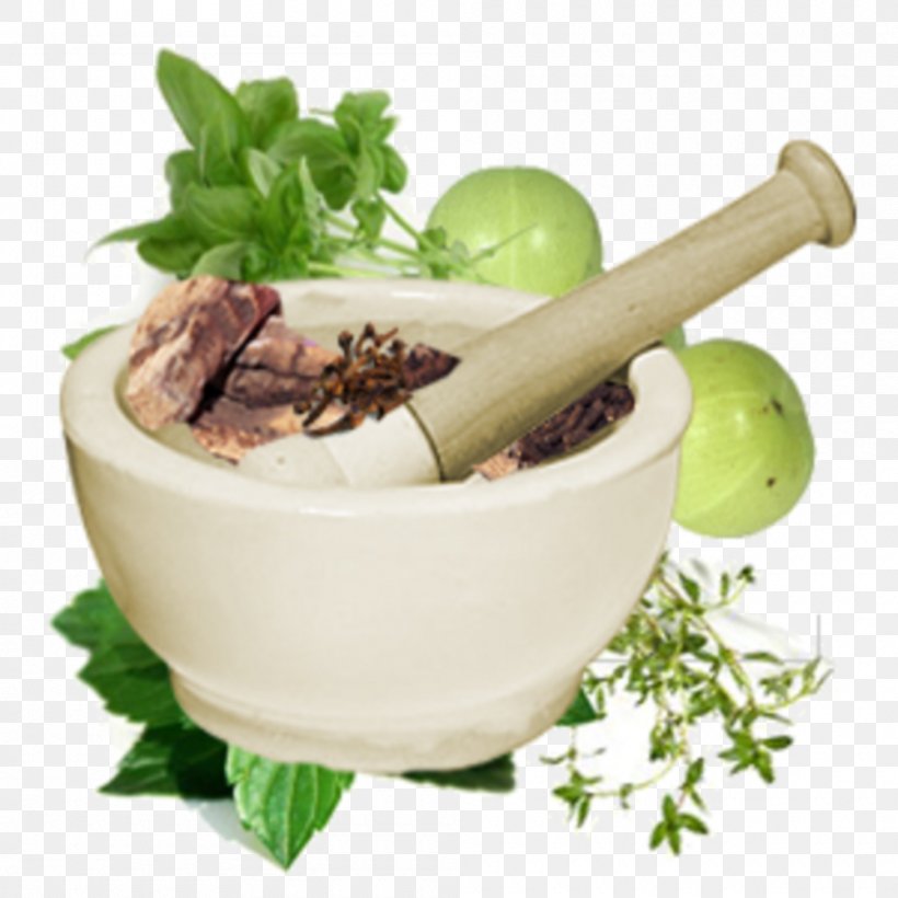 Bachelor Of Ayurveda, Medicine And Surgery Bachelor Of Ayurveda, Medicine And Surgery Therapy Alternative Health Services, PNG, 1000x1000px, Ayurveda, Alternative Health Services, Central Council Of Indian Medicine, Disease, Dish Download Free