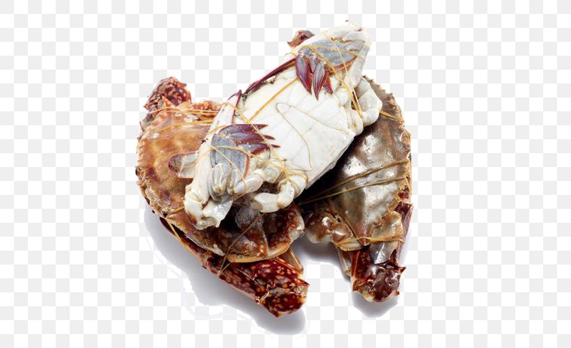 Dungeness Crab Seafood King Crab, PNG, 500x500px, Crab, Animal Source Foods, Aquatic Animal, Decapoda, Designer Download Free