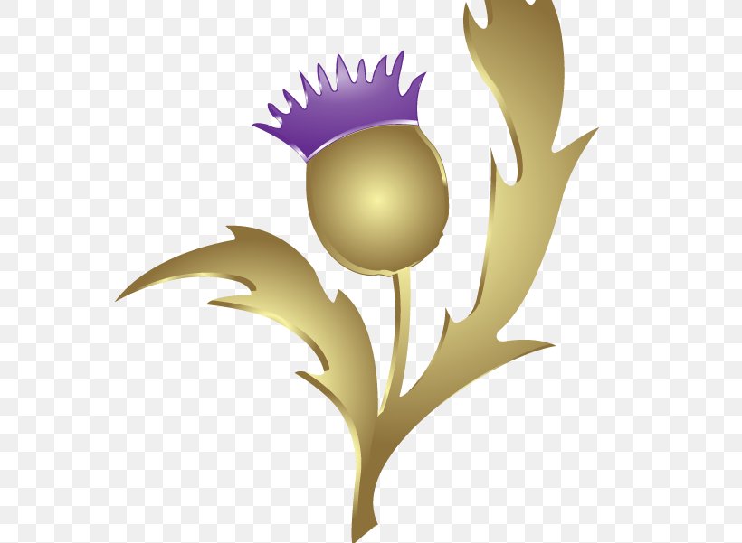 Thistle Gleneagles Scottish Gaelic Flag Of Scotland Raster Graphics, PNG, 601x601px, Thistle, Branch, Flag Of Scotland, Flower, Flowering Plant Download Free