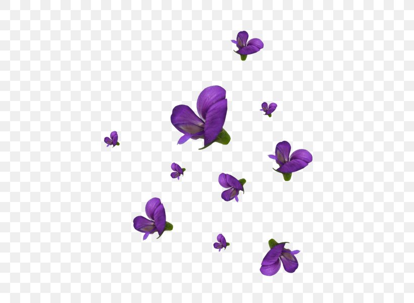 Violet Cut Flowers Petal Viola, PNG, 581x600px, Violet, Butterfly, Cut Flowers, Flower, Flowering Plant Download Free