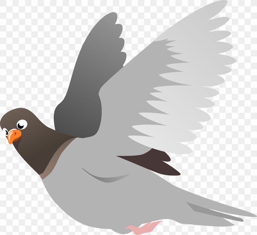 English Carrier Pigeon Homing Pigeon Columbidae Bird Clip Art, PNG, 1280x1172px, English Carrier Pigeon, Beak, Bird, Columbidae, Domestic Pigeon Download Free