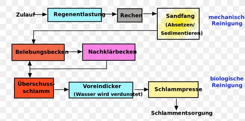 Eutrophication Chemistry Sewage Treatment Photosynthesis Sodium Chloride, PNG, 1280x636px, Eutrophication, Area, Biology, Brand, Chemistry Download Free