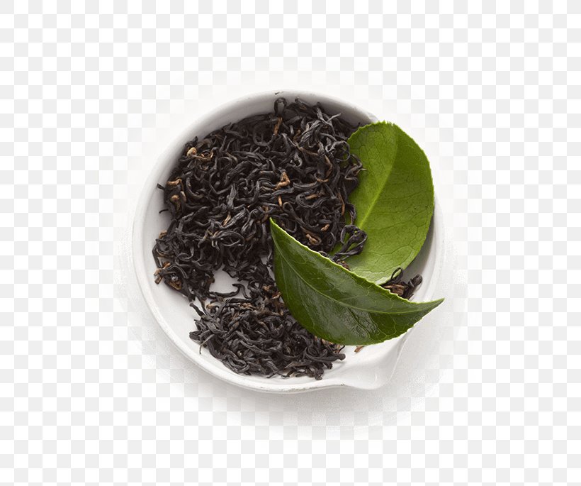 Green Tea Gyokuro Kombucha Black Tea, PNG, 727x685px, Tea, Assam Tea, Bai Mudan, Bancha, Biluochun Download Free