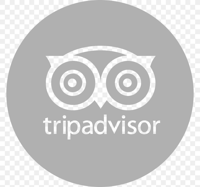 Hotel TripAdvisor Travel Waikiki Accommodation, PNG, 768x768px, Hotel, Accommodation, Bird, Bird Of Prey, Brand Download Free