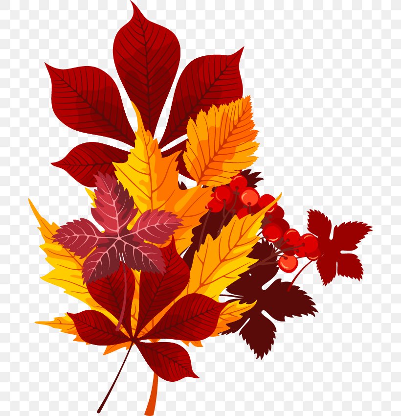 Leaf Red Euclidean Vector, PNG, 704x850px, Leaf, Cerise, Cherry, Color, Floral Design Download Free