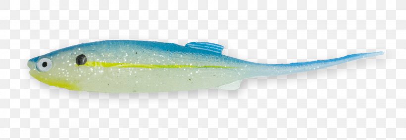 Marine Biology Fish, PNG, 1927x668px, Marine Biology, Biology, Fin, Fish, Organism Download Free