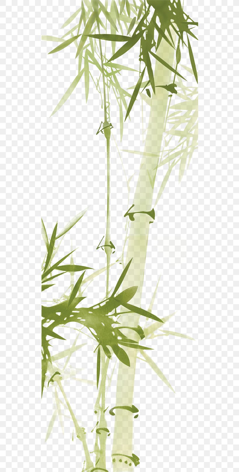 Bamboo Download Paper Computer File, PNG, 541x1614px, Bamboo, Bamboe, Branch, Flowerpot, Grass Download Free