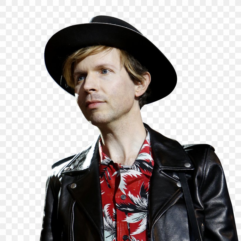 Beck Musician Leopard-Skin Pill-Box Hat Photography, PNG, 1200x1200px, Watercolor, Cartoon, Flower, Frame, Heart Download Free