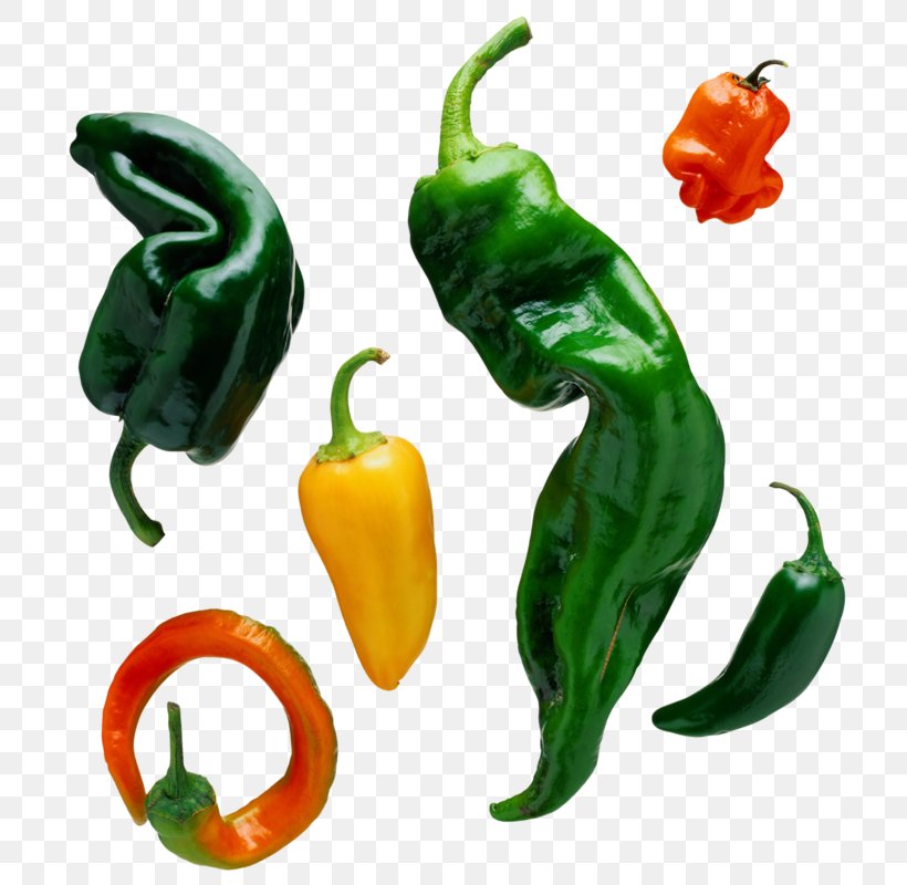 Bell Pepper Chili Con Carne Salsa Chili Pepper Food, PNG, 731x800px, Bell Pepper, Bell Peppers And Chili Peppers, Capsicum, Capsicum Annuum, Cayenne Pepper Download Free