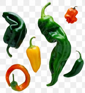 Pepper Collection - Bell Pepper Chili Con Carne Salsa Chili Pepper Food PNG