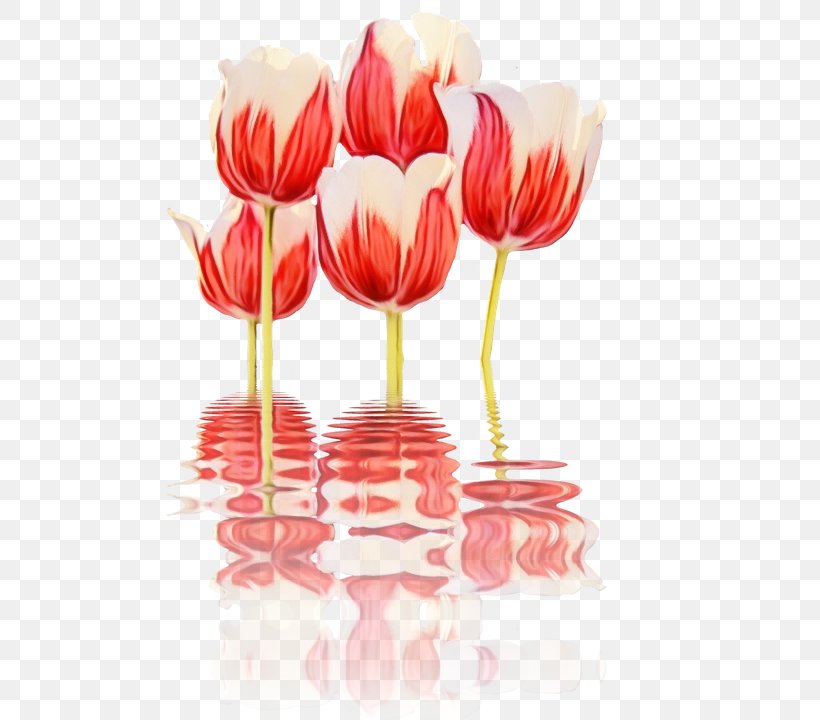 Cut Flowers Tulip Flower Bouquet Floral Design, PNG, 508x720px, Flower, Anthurium, Botany, Cut Flowers, Floral Design Download Free