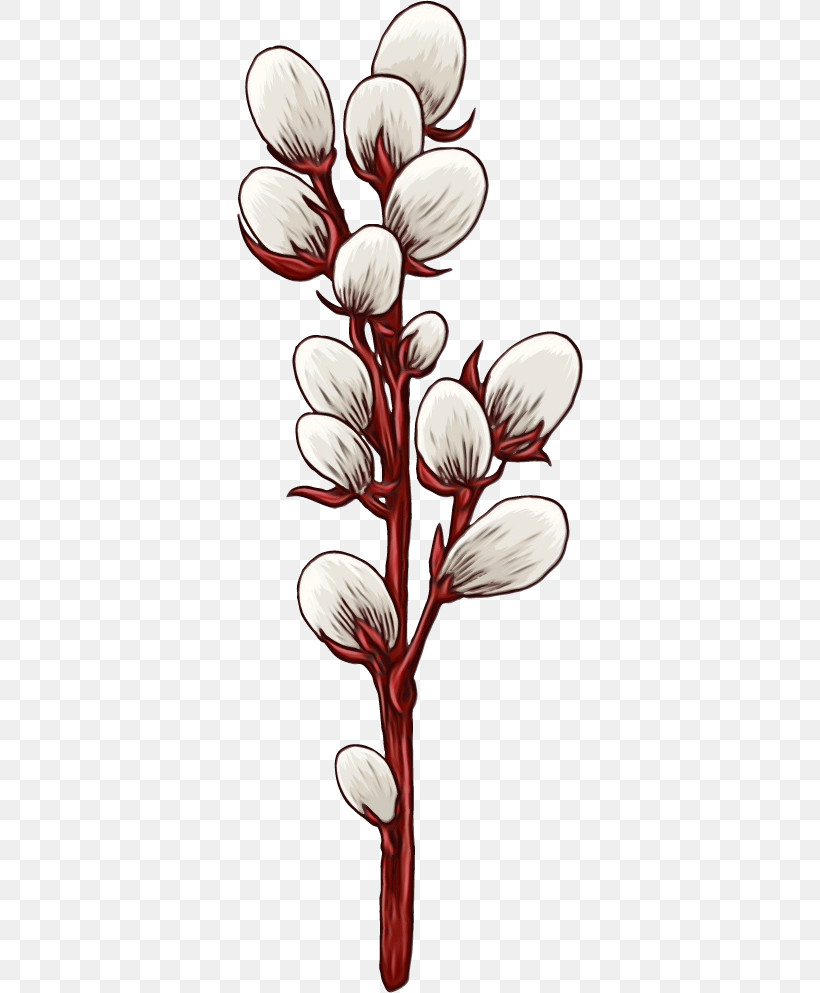 Flower Plant Pedicel Petal Plant Stem, PNG, 346x993px, Drawing Flower, Crocus, Cut Flowers, Floral Drawing, Flower Download Free