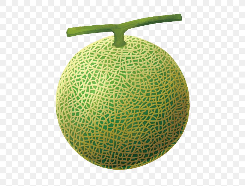 3D Computer Graphics, PNG, 625x624px, 3d Computer Graphics, Auglis, Cartoon, Cucumber Gourd And Melon Family, Drawing Download Free