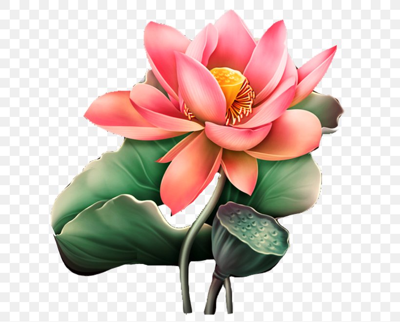 Nelumbo Nucifera Art Watercolor Painting Clip Art, PNG, 650x661px, Nelumbo Nucifera, Aquatic Plant, Art, Artificial Flower, Cut Flowers Download Free