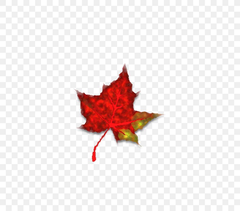 Autumn Red Icon, PNG, 789x720px, Autumn, Autumn Leaf Color, Flowering Plant, Leaf, Maple Leaf Download Free