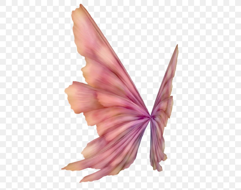 Blog Feather TinyPic, PNG, 462x646px, Blog, Animation, Butterfly, Drawing, Fairy Download Free