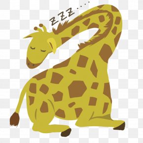 Giraffe - Giraffe Animal Insect Rabbit PNG