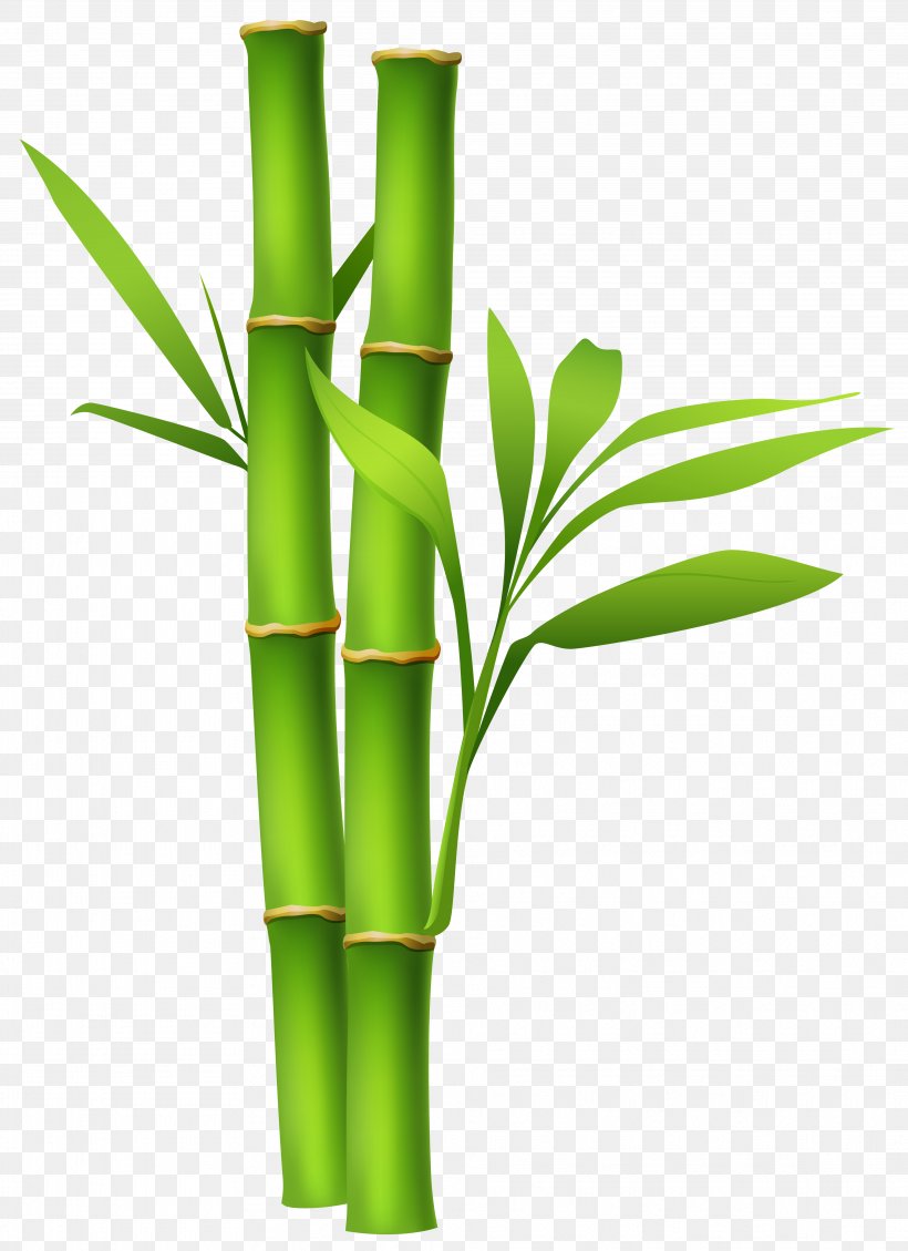 Bamboo Clip Art, PNG, 3849x5302px, Bamboo, Bamboo Shoot, Color, Flowerpot, Grass Family Download Free