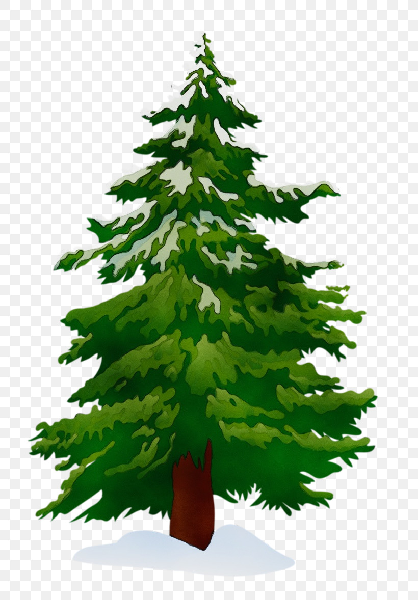 Christmas Tree, PNG, 800x1178px, Watercolor, American Larch, Balsam Fir, Christmas Decoration, Christmas Tree Download Free