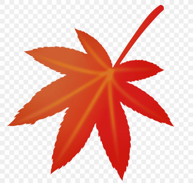 Maple Leaf Food Petal Kaisendon, PNG, 1001x953px, Maple Leaf, Cuisine, Food, Japan, Kaisendon Download Free