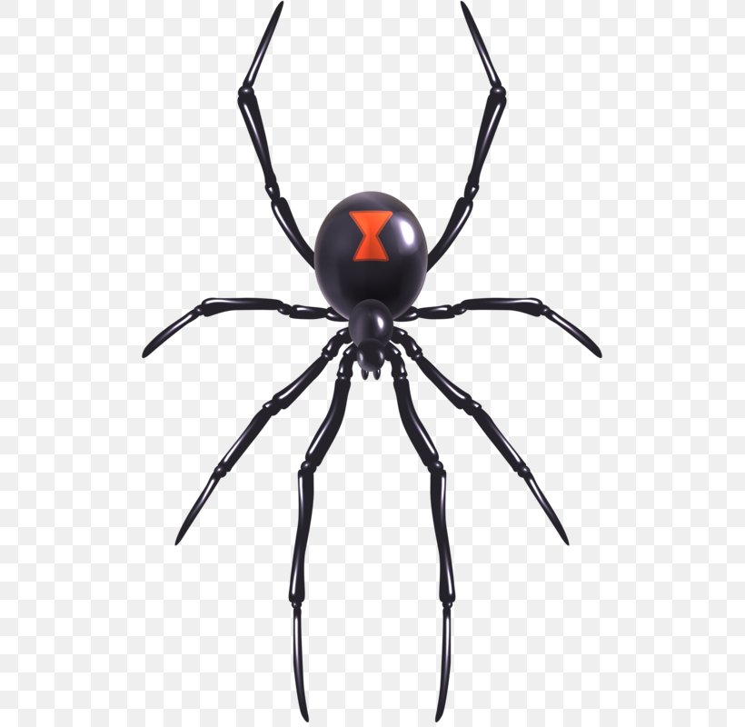 Spider Web Southern Black Widow Illustration, PNG, 515x800px, Spider, Arachnid, Araneus, Art, Arthropod Download Free
