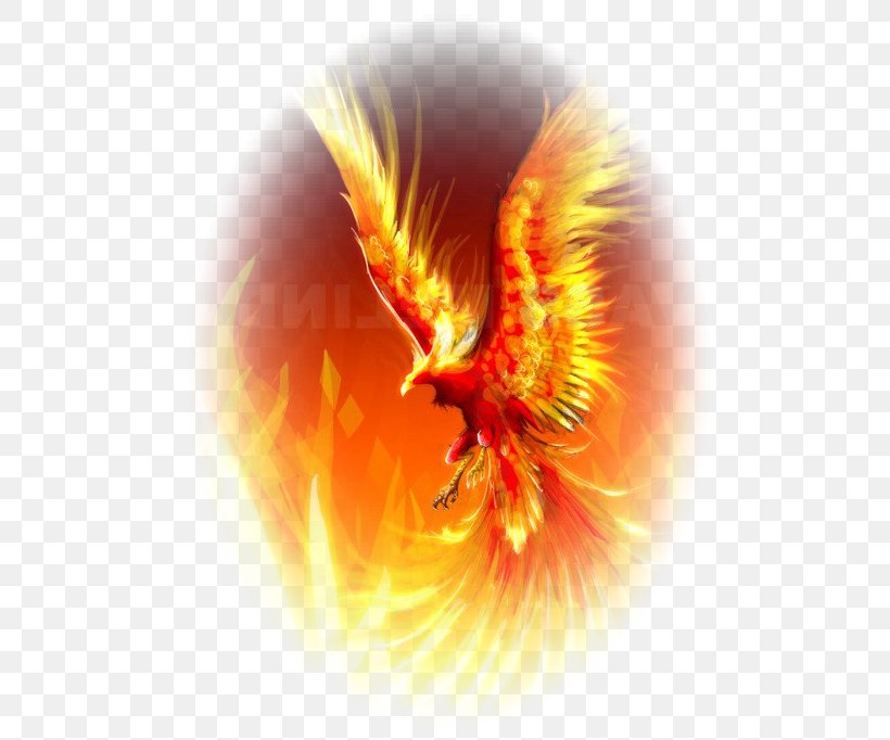 The Flight Of The Phoenix Vermilion Bird Mythology Legendary Creature, PNG, 500x682px, Phoenix, Albus Dumbledore, Author, Beak, Bird Download Free