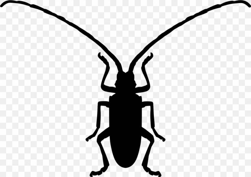Beetle Symbol Shape, PNG, 980x690px, Beetle, Animal, Artwork, Black And White, Insect Download Free