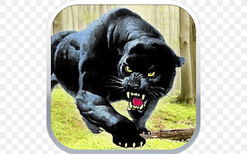 Black Panther Middle School Student, PNG, 512x512px, Panther, Aggression, Animal, Big Cats, Black Panther Download Free