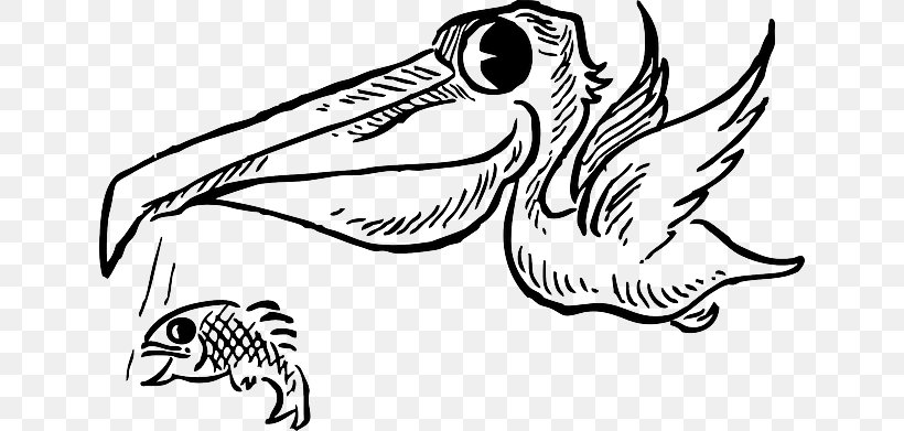 Cartoon Drawing Brown Pelican Clip Art, PNG, 640x391px, Cartoon, Art, Artwork, Beak, Bird Download Free