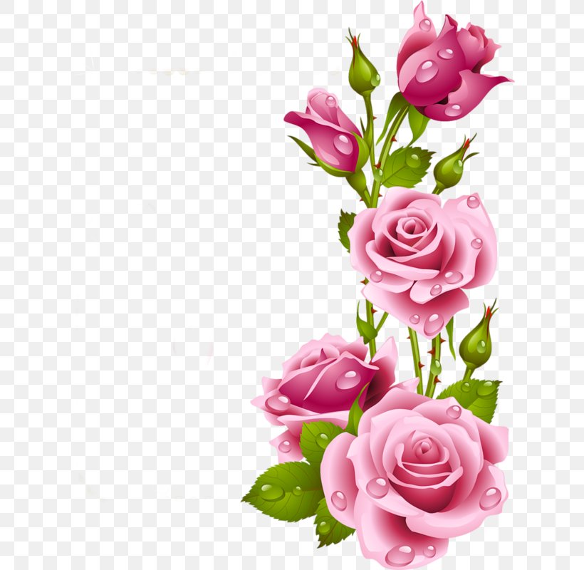 Picture Frames Rose Flower Clip Art, PNG, 626x800px, Picture Frames, Artificial Flower, Cut Flowers, Decorative Arts, Floral Design Download Free