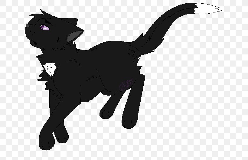 Cat Warriors Ravenpaw Firestar Tigerstar, PNG, 662x529px, Cat, Ashfur, Black, Black And White, Black Cat Download Free