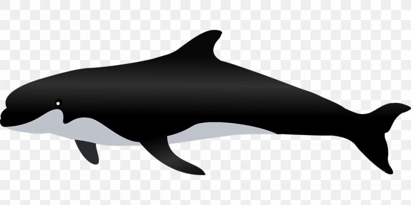 Cetacea Clip Art, PNG, 960x480px, Cetacea, Animal Figure, Black, Black And White, Common Bottlenose Dolphin Download Free