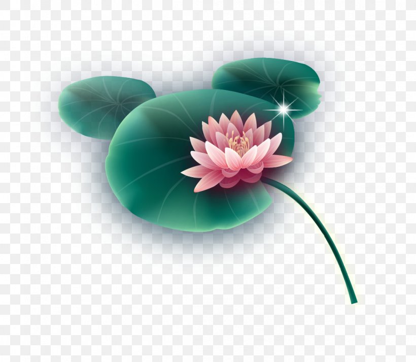 Nelumbo Nucifera Leaf Lotus Effect, PNG, 1092x950px, Nelumbo Nucifera, Entertainment, Flower, Flowering Plant, Green Download Free