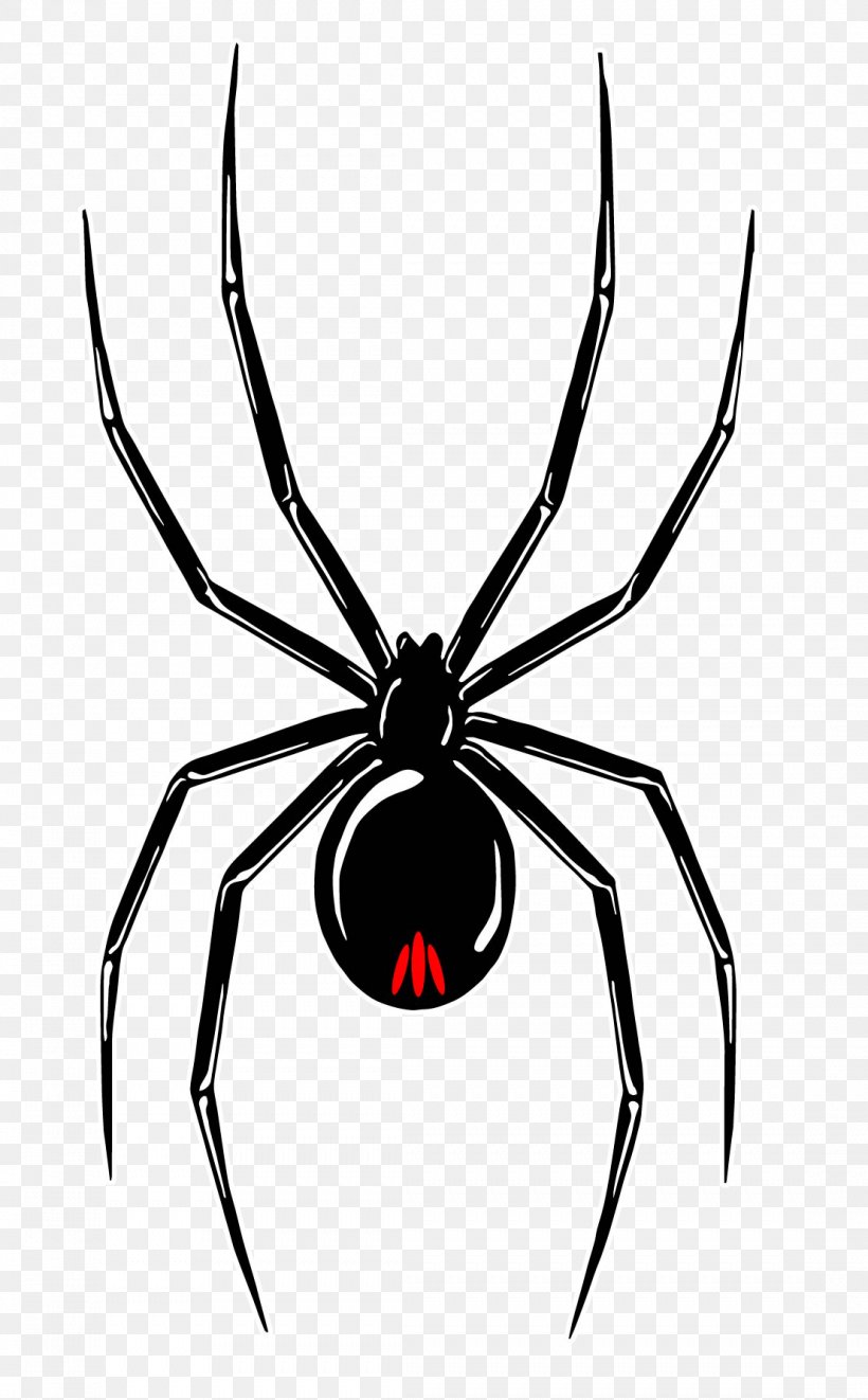 Southern Black Widow Wolf Spider Redback Spider Decal, PNG, 1107x1786px, Southern Black Widow, Animal, Arachnid, Arthropod, Artwork Download Free