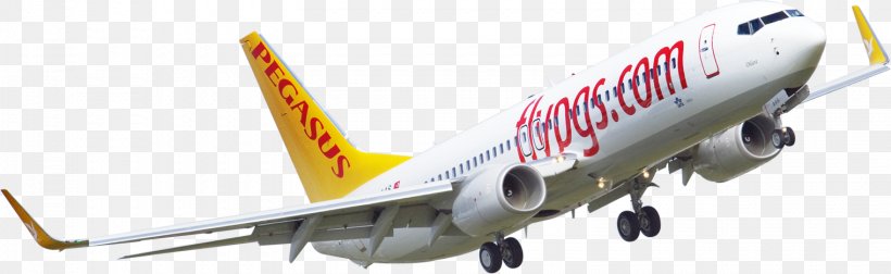 Boeing 737 Next Generation Boeing 767 Pegasus Airlines Airplane, PNG, 1520x468px, Boeing 737 Next Generation, Aerospace Engineering, Air Travel, Airbus, Airbus Group Download Free