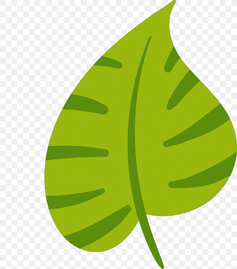 Leaf, PNG, 2646x3000px, Leaf, Biology, Fruit, Green, Plant Stem Download Free