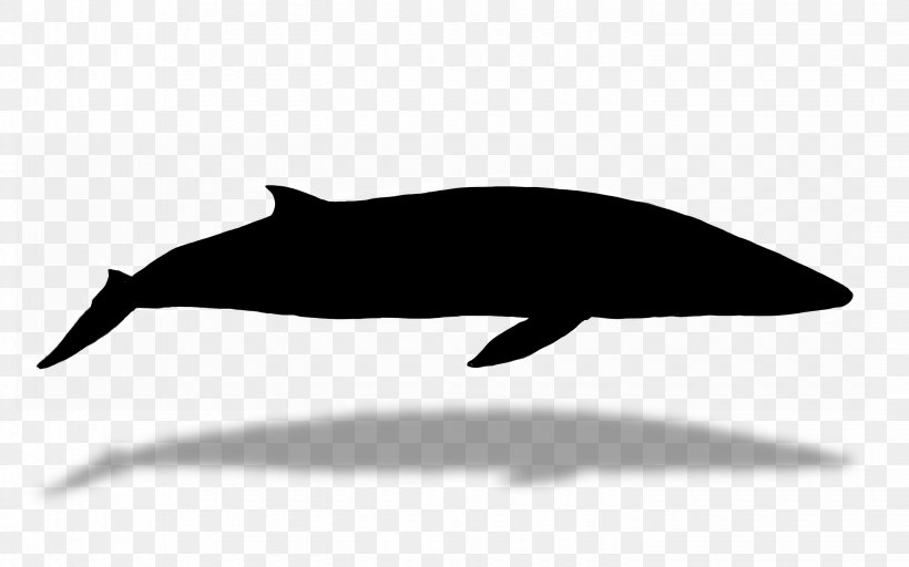 Tucuxi Dolphin Fauna Silhouette, PNG, 2880x1800px, Tucuxi, Bottlenose Dolphin, Cetacea, Common Bottlenose Dolphin, Common Dolphins Download Free