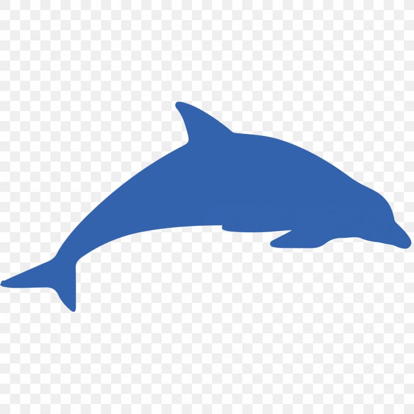 Dolphin Cetacea Whale, PNG, 1280x1280px, Dolphin, Beak, Blog, Cetacea, Common Bottlenose Dolphin Download Free