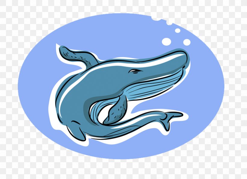 Dolphin Shark Whale Illustration, PNG, 829x603px, Dolphin, Blue, Brand, Cetacea, Fish Download Free
