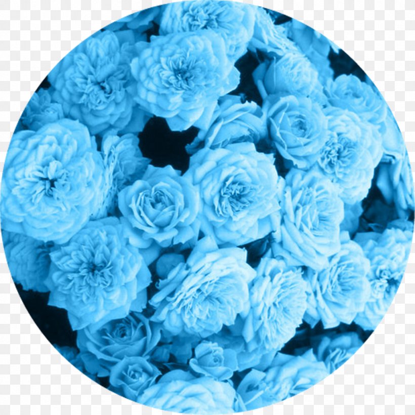 Pastel Image Aesthetics Color Photograph, PNG, 1024x1024px, Pastel, Aesthetics, Aqua, Blue, Blue Rose Download Free