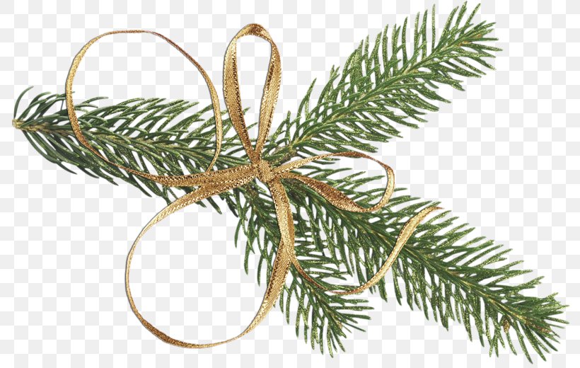 Twig Trees, PNG, 800x520px, Christmas, Artificial Christmas Tree, Branch, Christmas Ornament, Christmas Tree Download Free