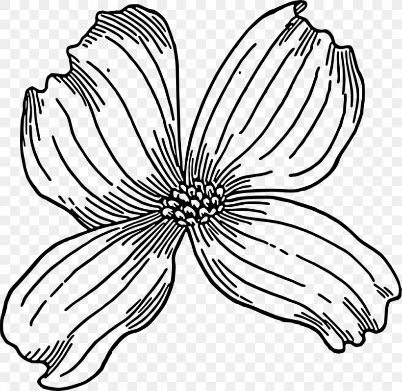 Flower Line Art, PNG, 1000x974px, Flowering Dogwood, Blackandwhite, Blossom, Coloring Book, Dogwood Download Free